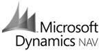 Website-anbindung an Microsoft Dynamics Navision